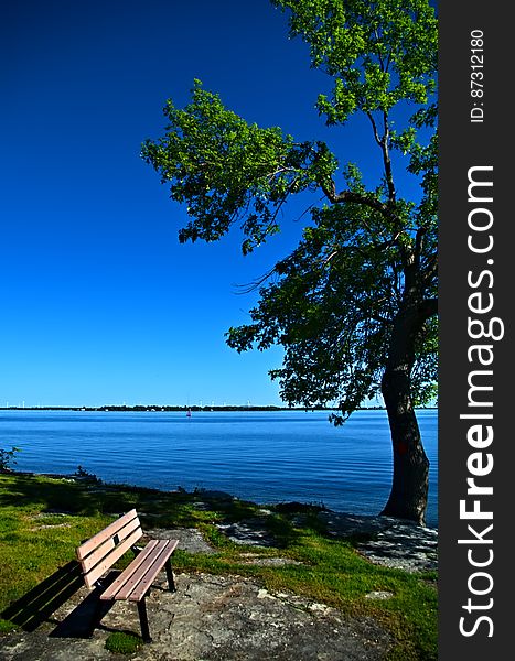 The positioning of benches of often curious. Typically they are placed to provide a suitable view of the surroundings or to provide social gathering space with others on other benches. Sometimes the positon of a bench may seem inappropriate. Here on the shores of Lake Ontario in Kingston, Ontario, the bench seems to be missplaced. It would seem that the view to be promotted should be the lake and Wolf Island beyond. During most of the day, this is a pleasant view of the windmills on the island as well as the frequent sailcraft on the lake. In order to take in this view, one must either sit sideways on the bench or turn one&#x27;s head awkwardly to the left, risking future neck strain induced soreness. What one does not realize during the day is that this bench deliberately facing west so as to be ideally located to take in the spectacular sunsets in the evening over Lake Ontario. I must return to this spot another day when I have no evening obligations. The positioning of benches of often curious. Typically they are placed to provide a suitable view of the surroundings or to provide social gathering space with others on other benches. Sometimes the positon of a bench may seem inappropriate. Here on the shores of Lake Ontario in Kingston, Ontario, the bench seems to be missplaced. It would seem that the view to be promotted should be the lake and Wolf Island beyond. During most of the day, this is a pleasant view of the windmills on the island as well as the frequent sailcraft on the lake. In order to take in this view, one must either sit sideways on the bench or turn one&#x27;s head awkwardly to the left, risking future neck strain induced soreness. What one does not realize during the day is that this bench deliberately facing west so as to be ideally located to take in the spectacular sunsets in the evening over Lake Ontario. I must return to this spot another day when I have no evening obligations.