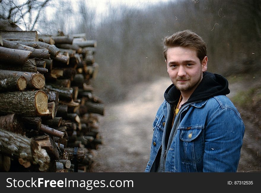 Natural Environment, Flash Photography, Wood, Logging