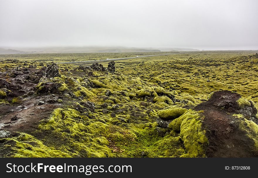 Mossy Lava Rocks Iceland