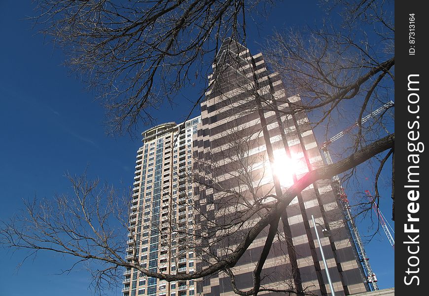 Sky, Building, Skyscraper, Plant