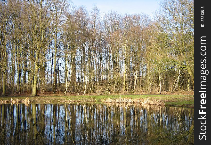 Trees and water in the Amsterdamse Bos, a large public park near Amsterdam, the Netherlands. Trees and water in the Amsterdamse Bos, a large public park near Amsterdam, the Netherlands.