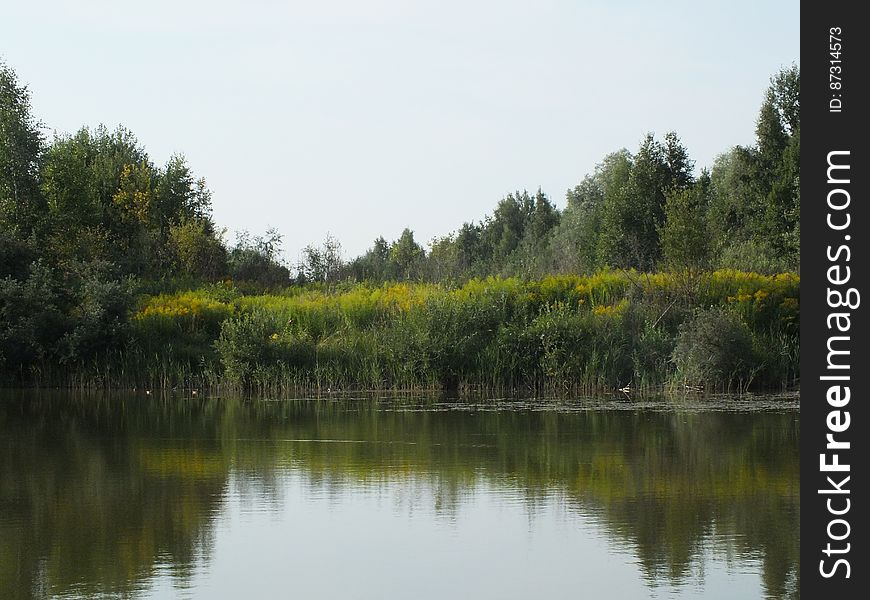 Water, Sky, Plant, Water resources, Fluvial landforms of streams, Natural landscape