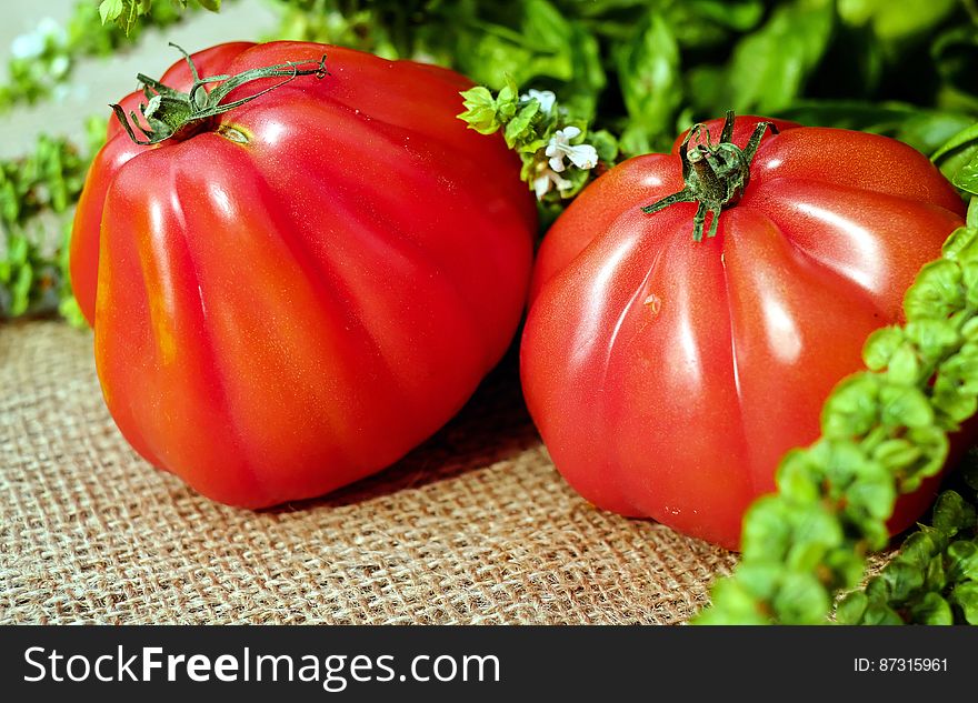 Two Red Orange Tomato Near Green Leaves