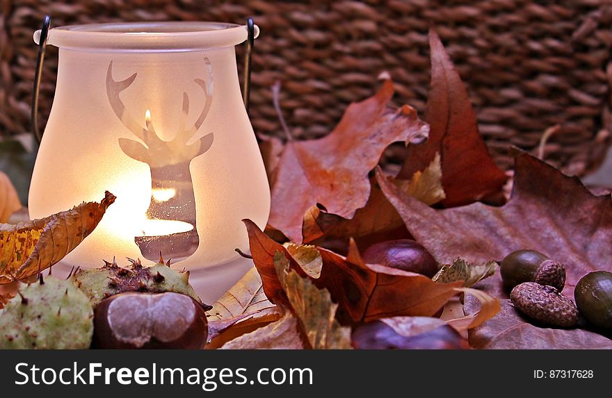 Shallow Focus Photograph Clear Reindeer Print Candle Glass Candle Lamp Near Red Dried Leaf