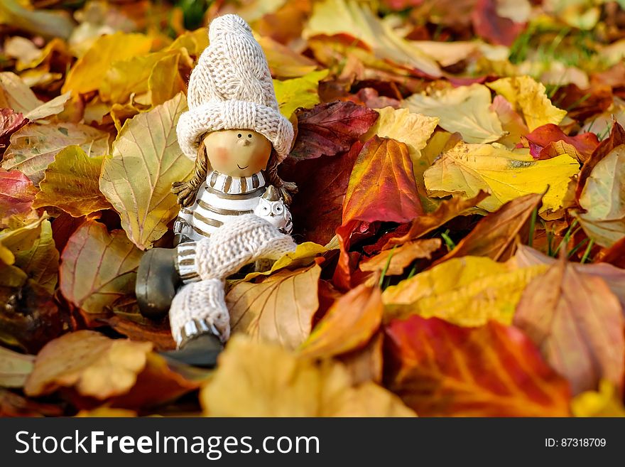 Close-up of Cross on Autumn Leaves