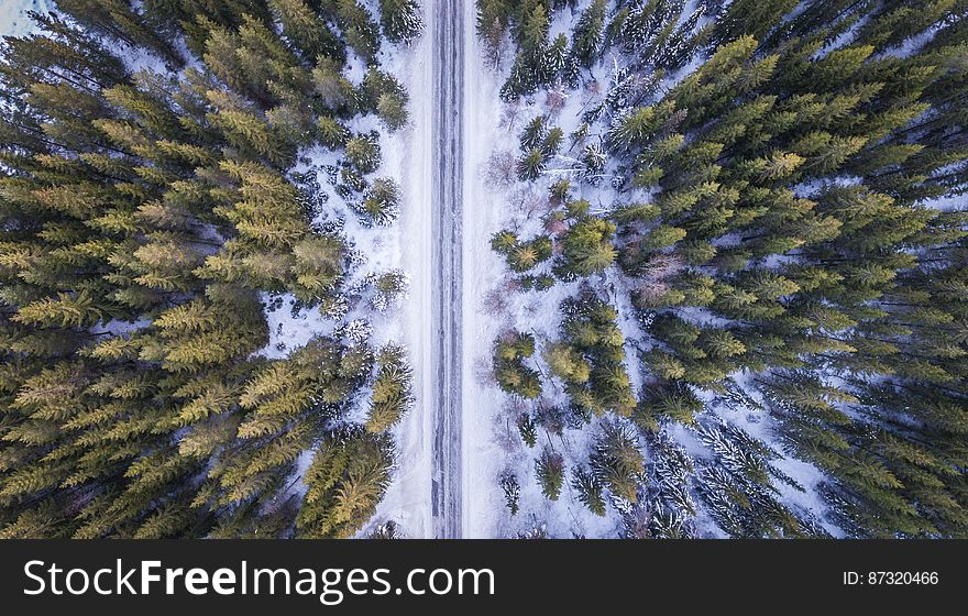 High Angle View of Trees Against Sky