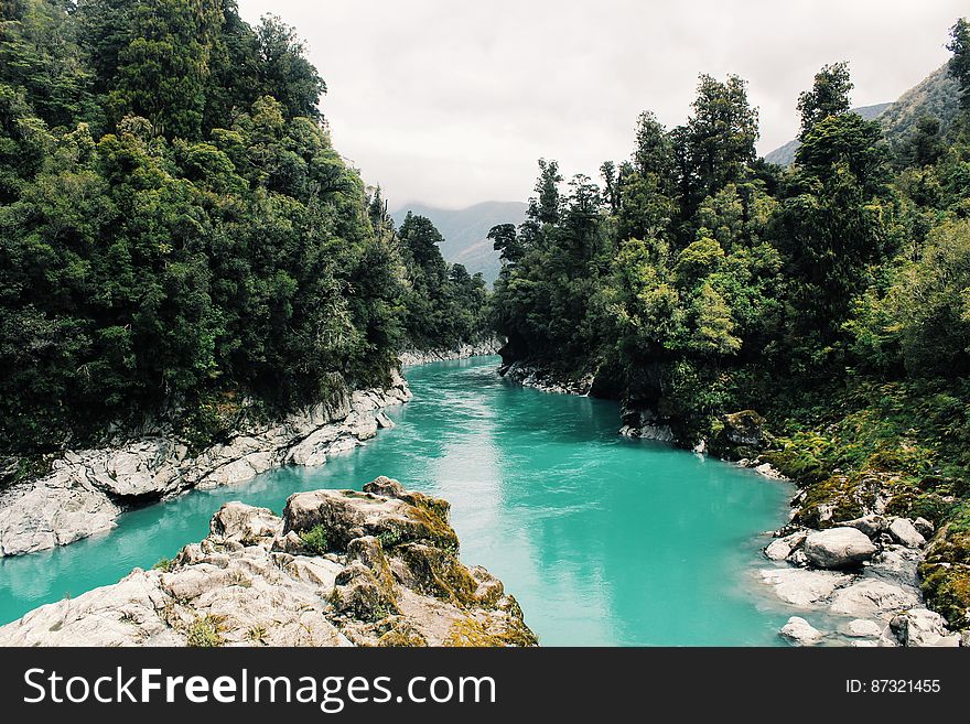 Scenic View of River