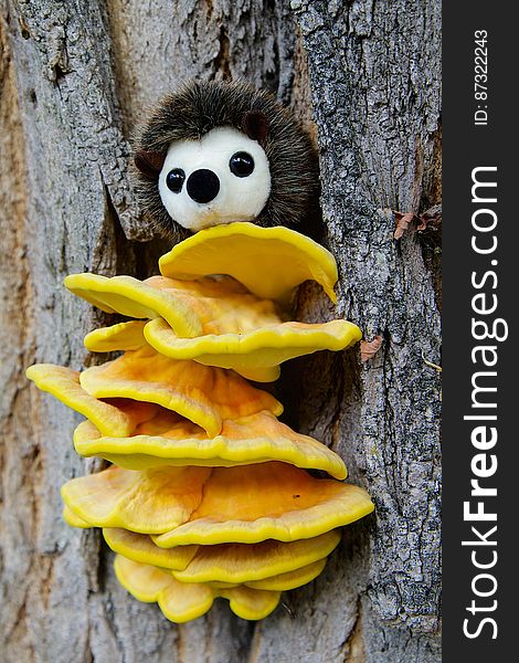 White Plush Toy on Top of Yellow Mushroom