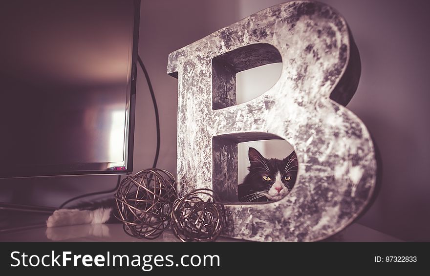 A cat looking through a large decorative letter B. A cat looking through a large decorative letter B.