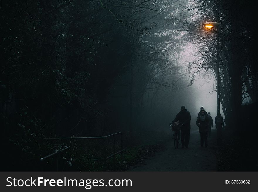 Silhouettes on the path