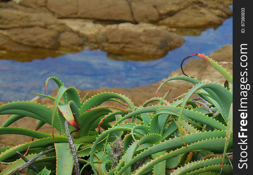 Dalmeny NSW Australia. Dalmeny NSW Australia