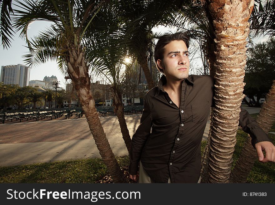 Young man in a park next to a palm tree. Young man in a park next to a palm tree