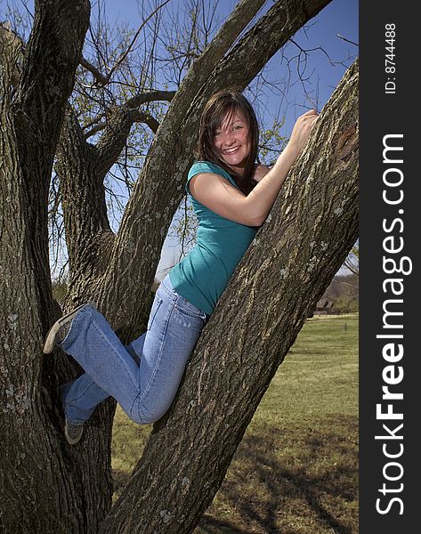 A wind-blown teen girl smiles down from her perch in a tree. A wind-blown teen girl smiles down from her perch in a tree.