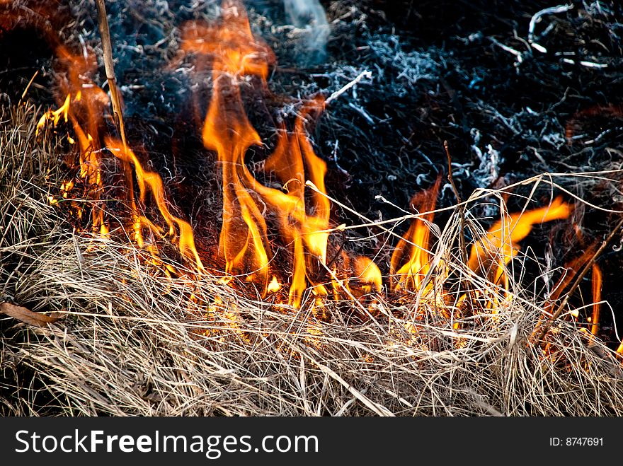 Dry grass is on the fire at spring time. Dry grass is on the fire at spring time