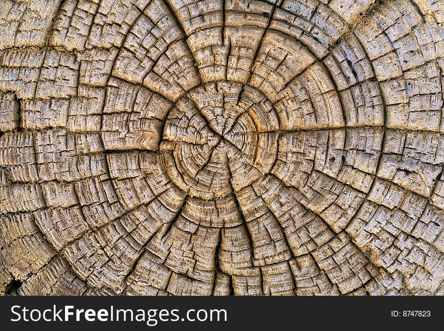 Wood texture