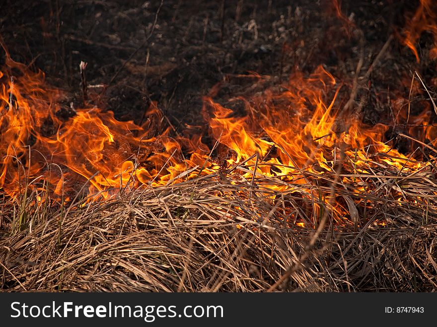 Dry grass is on the fire at spring time. Dry grass is on the fire at spring time