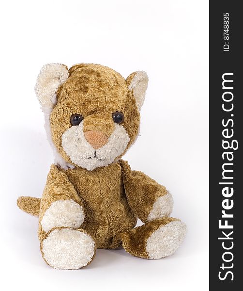 Toy bear brown colour on white background