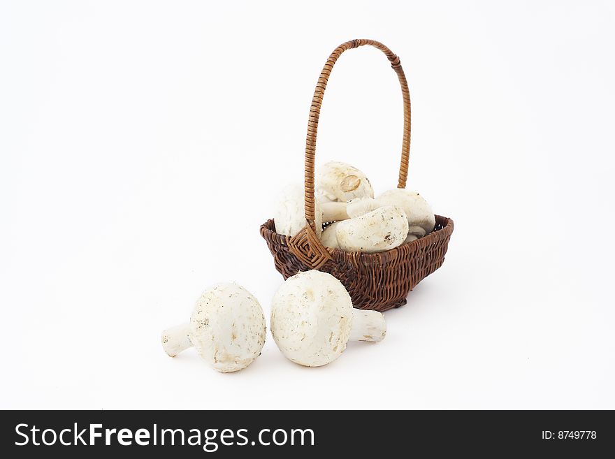 A little basket and mushrooms on white
