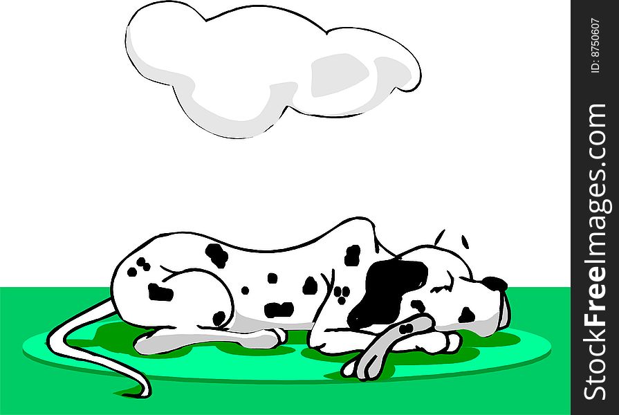 Dalmatian dog