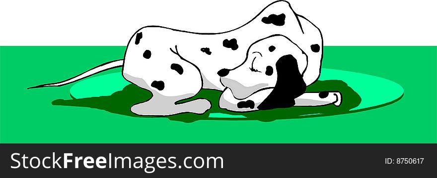 Dalmatian dog sleeping on green grass