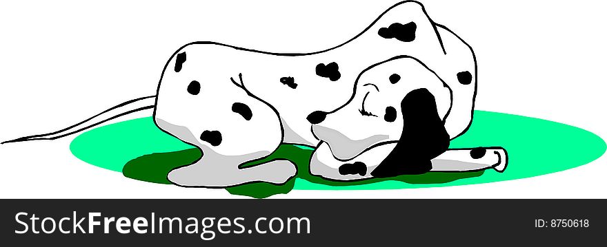 Dalmatian dog sleeping on green grass