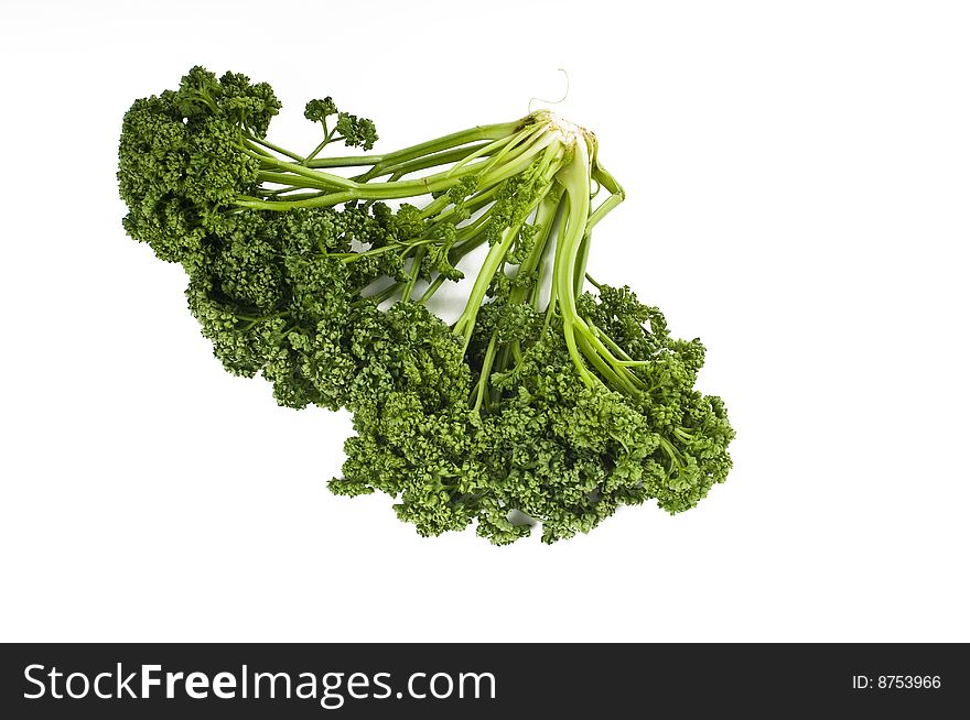 Fresh leaf of parsley isolated on white background. Fresh leaf of parsley isolated on white background