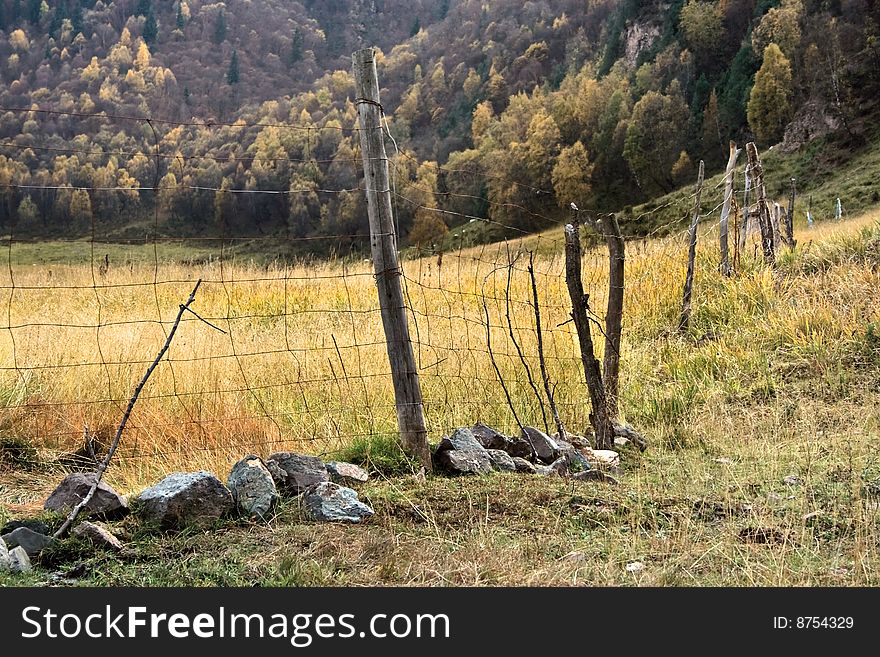 Bending the guardrail and pasture in the fall of the forest edge