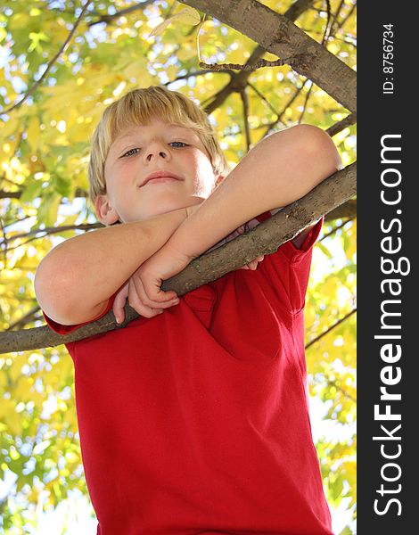 Boy In Tree