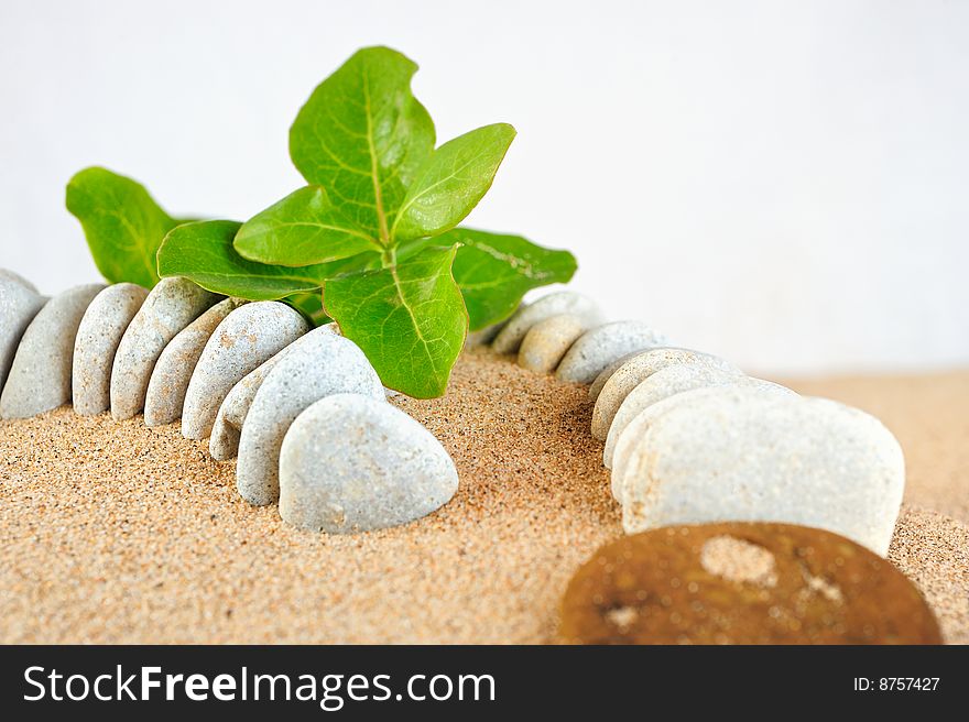 Green leaf among the stones on the sea sand. Green leaf among the stones on the sea sand