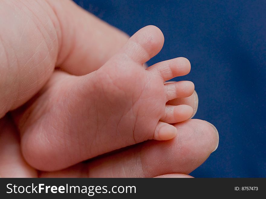 Babyfeet in an adult hand. Babyfeet in an adult hand