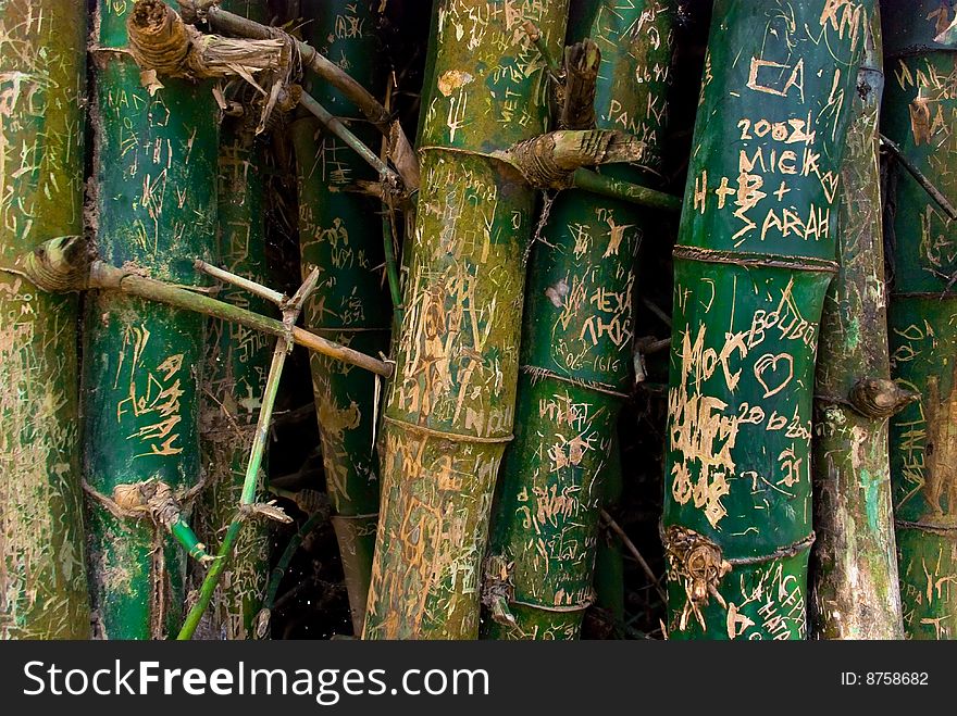 Signs on bamboo in national park