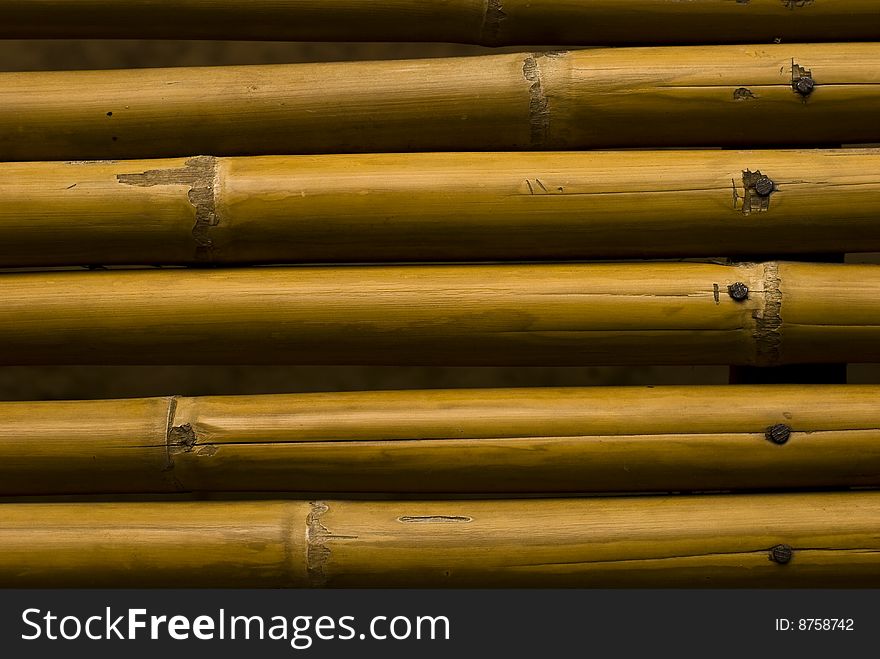 Yellow Bamboo