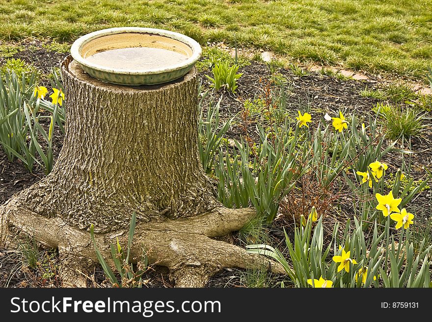 Ceramic bird dish filled with water for birds atop a tree stump in a flower garden