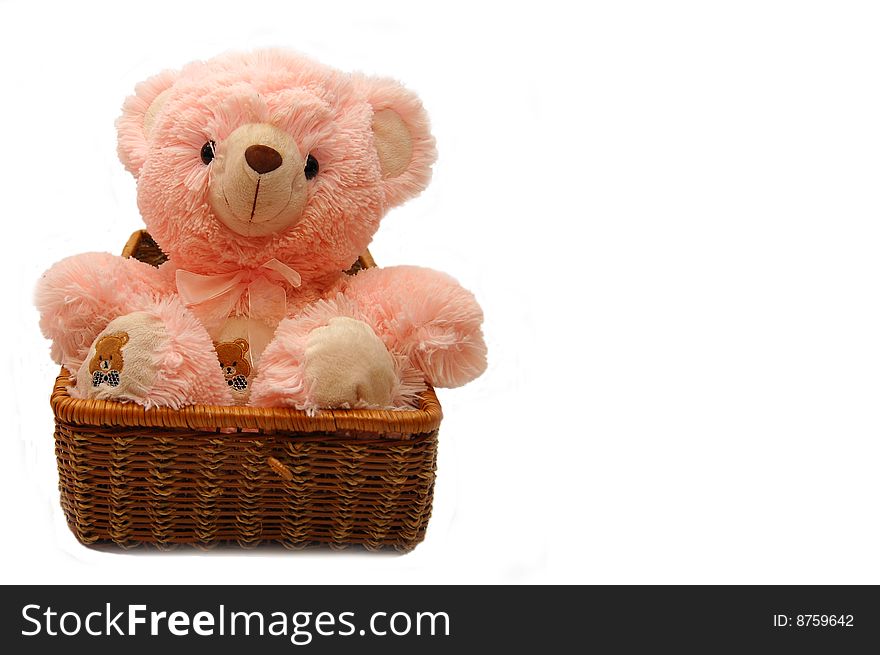 The pink bear sitting in a box