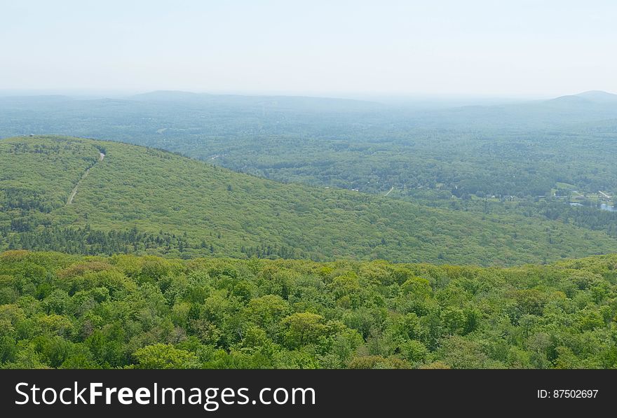 Spring&#x27;s Green Hills