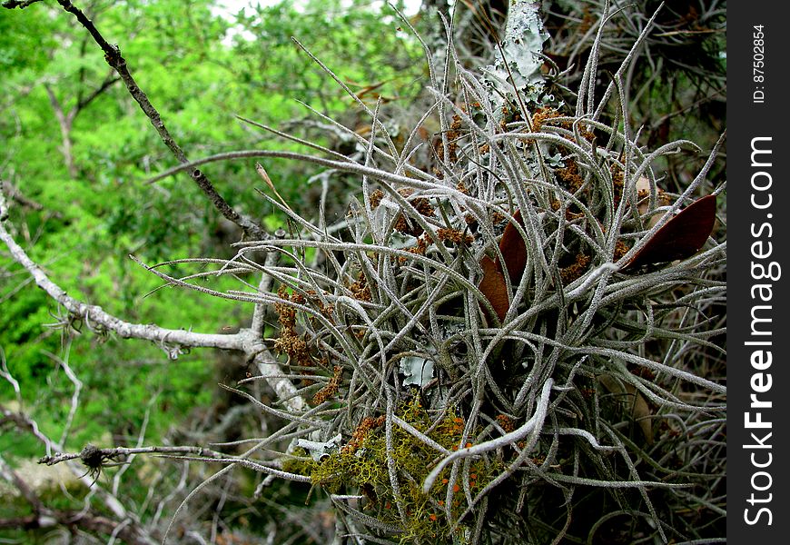 Don&#x27;t know what this stuff is, but it made a pretty nifty macro. Don&#x27;t know what this stuff is, but it made a pretty nifty macro.