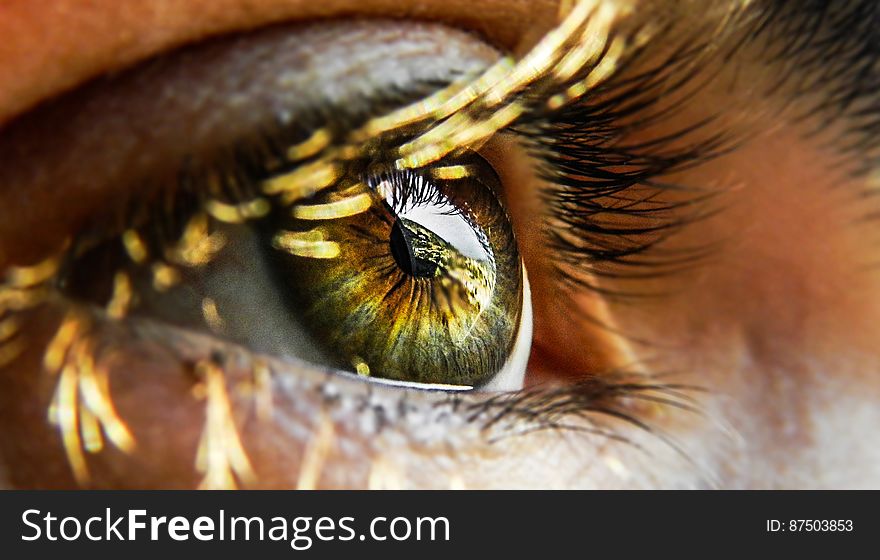 Close-up Of Human Eye