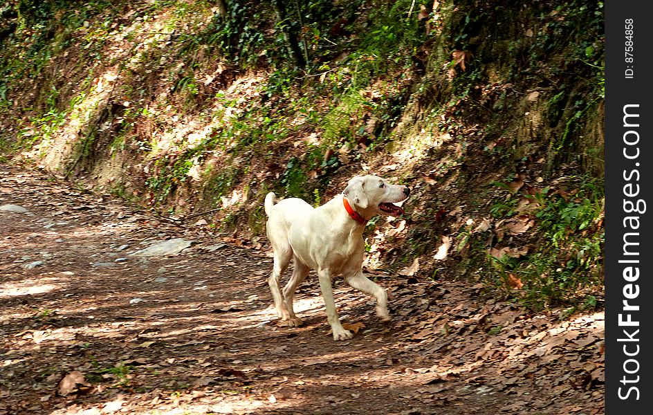 Hiking At Gualba &x28;Montseny&x29;