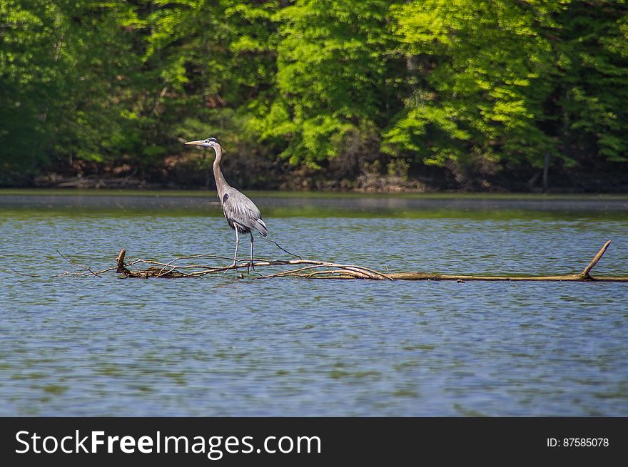 Kayaking At Fountainhead