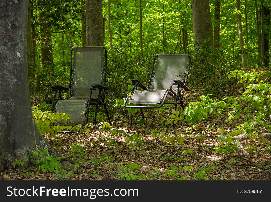 Fountainhead Regional Park, Virginia, USA. Fountainhead Regional Park, Virginia, USA