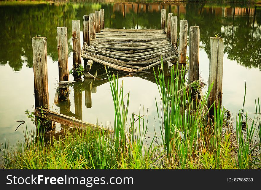 Decayed Wooden Pier In Lake