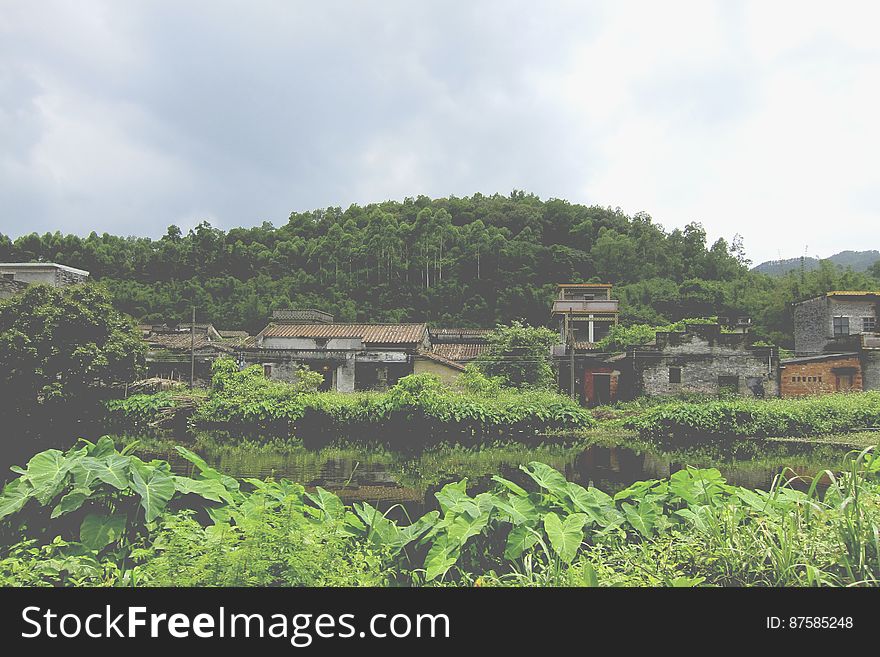 Village By A Forest With Green Plants