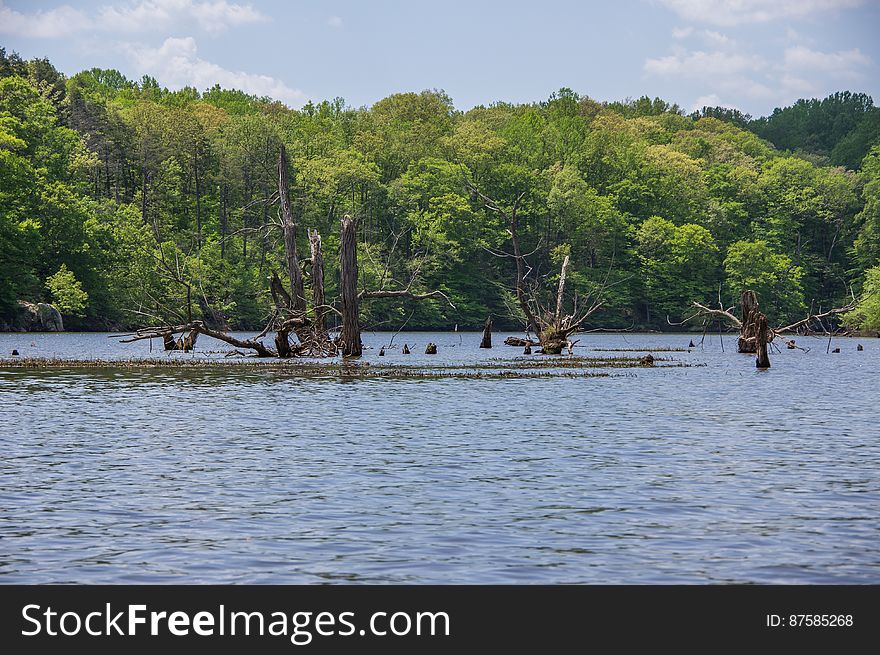 Fountainhead Regional Park, Virginia, USA. Fountainhead Regional Park, Virginia, USA