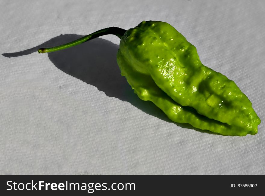 Although there are four main seasons in the year, there are also sub-seasons. It is now pepper season! This year&#x27;s pepper crop has been unusually bountiful. Fresh jalapenos have been adding a crunchy and delicious zing to just about every meal. This week, the bhut jolokia peppers have begun to ripen! Pepper season is one of my favourite seasons of the year. This somewhat deform bhut jolokia made wonderful addition to tonight&#x27;s pasta! I am now strongly looking forward to tomorrow&#x27;s breakfast... ...and lunch... ... and mid afternoon snack... . Although there are four main seasons in the year, there are also sub-seasons. It is now pepper season! This year&#x27;s pepper crop has been unusually bountiful. Fresh jalapenos have been adding a crunchy and delicious zing to just about every meal. This week, the bhut jolokia peppers have begun to ripen! Pepper season is one of my favourite seasons of the year. This somewhat deform bhut jolokia made wonderful addition to tonight&#x27;s pasta! I am now strongly looking forward to tomorrow&#x27;s breakfast... ...and lunch... ... and mid afternoon snack... ...