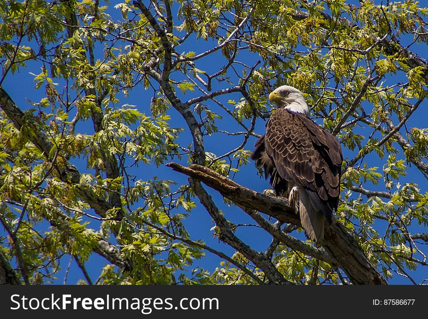 Fountainhead Regional Park, Virginia, USA. Fountainhead Regional Park, Virginia, USA