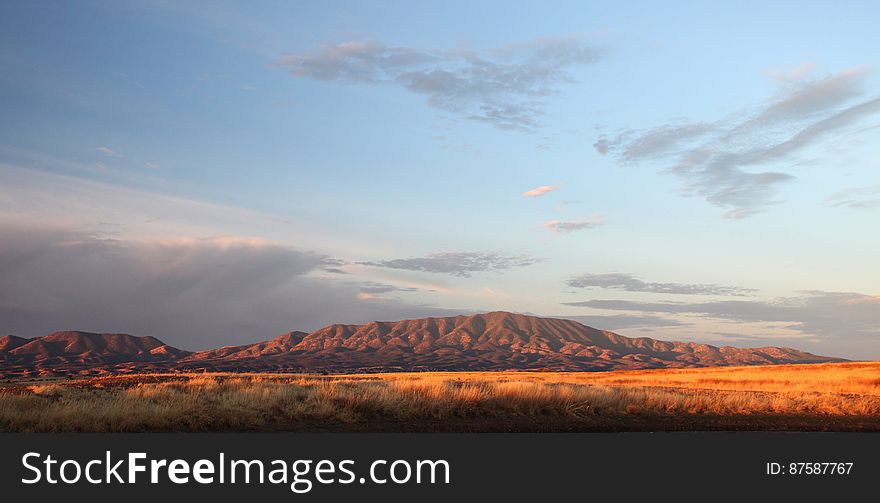 Brown Rocky Mountain