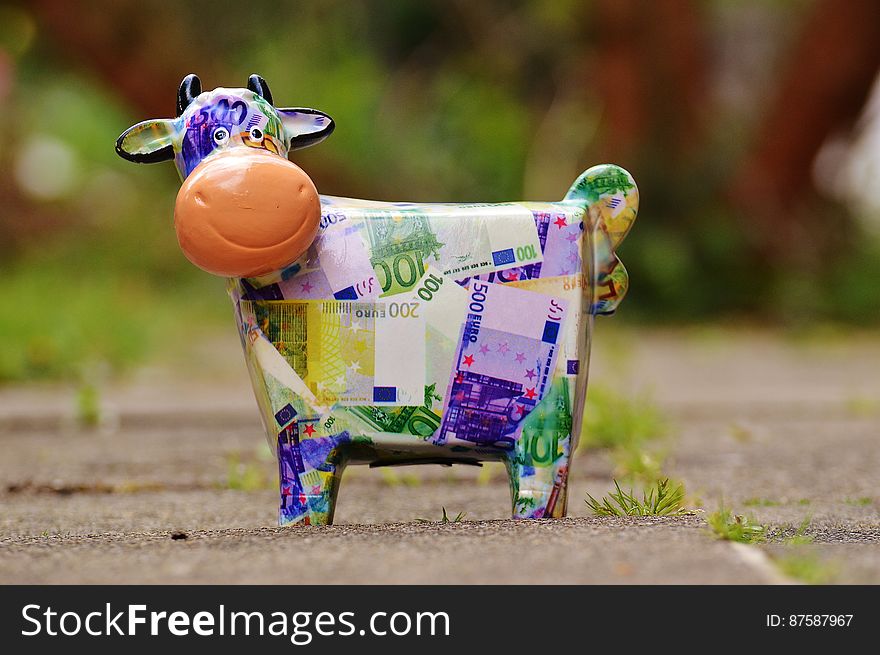 Banknote Cow on Gray Conncrete Road