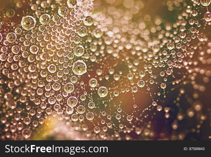 Macro view of dew drops on spiders web with golden background. Macro view of dew drops on spiders web with golden background.