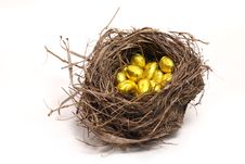 Golden Eggs In The Nest Stock Photography