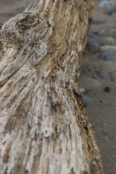 Weathered Log Stock Photos Weathered Log Stock Photos